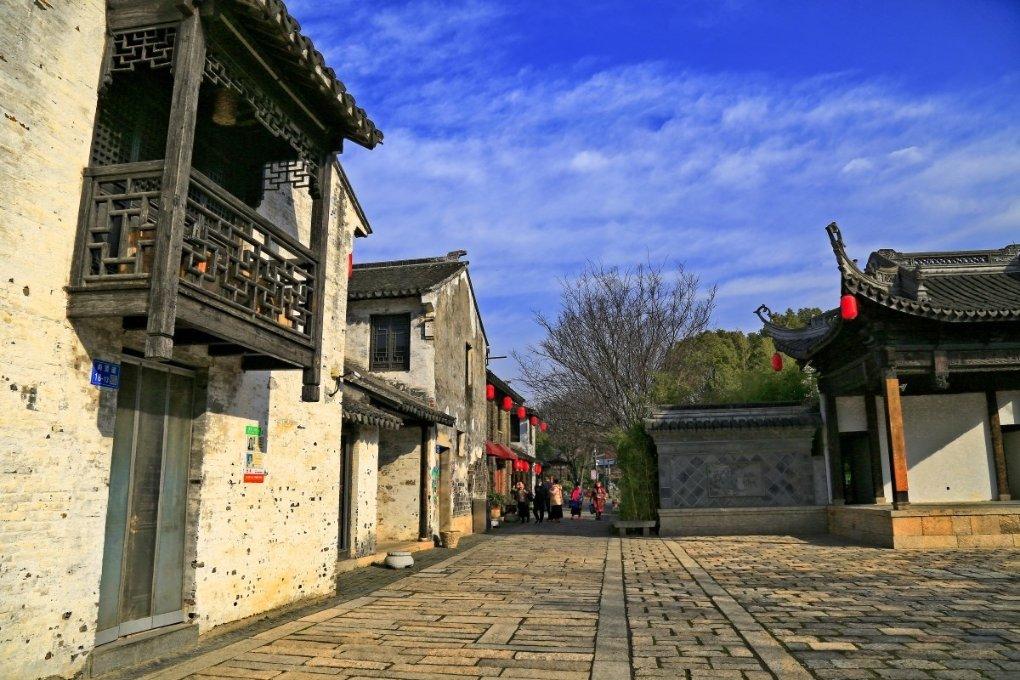 市林业局召开全市造林绿化暨松材线虫病防控现场会
